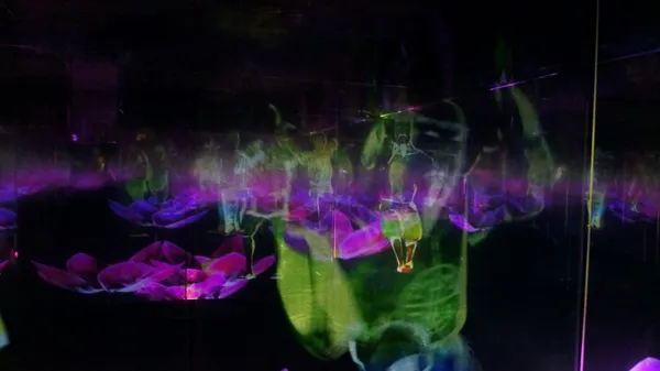 teamLab