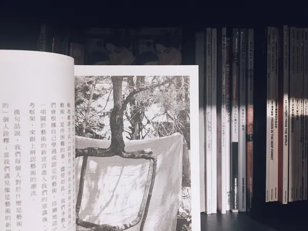 薄霧書店_美學的意義.jpg