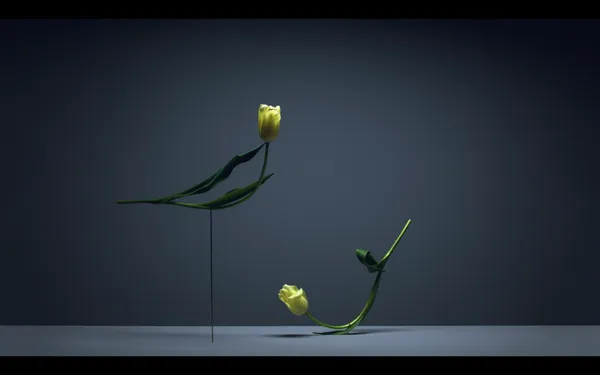 Carl Kleiner_花朵跳舞.png