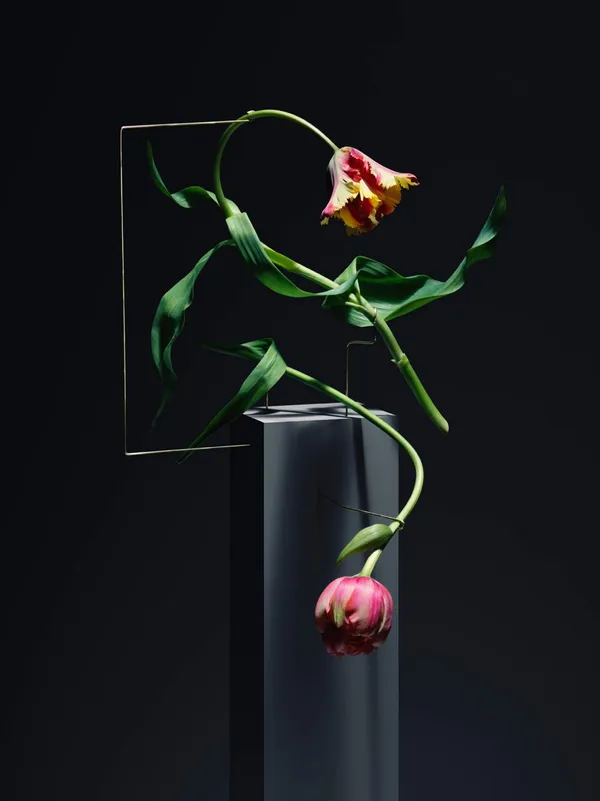 Carl Kleiner_花朵跳舞.jpg