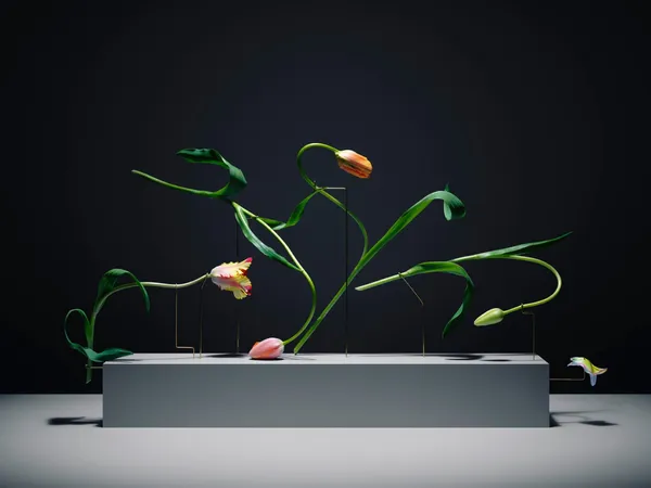 Carl Kleiner_花朵跳舞.jpg