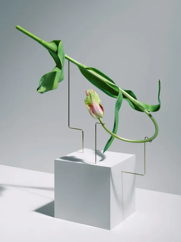 Carl Kleiner_花朵跳舞.jpg