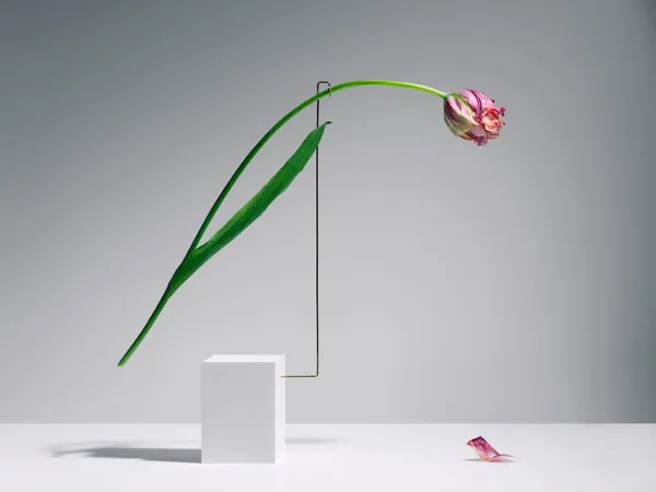 Carl Kleiner_花朵跳舞.jpg