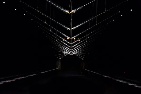Iris Van Herpen