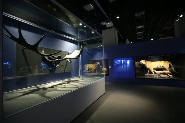 展覽現場