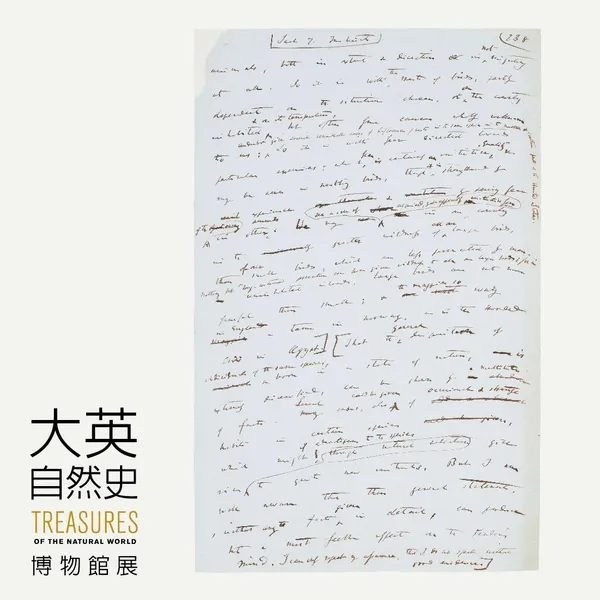 達爾文手稿
