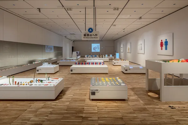 佐藤卓_東京展覽_觀察展區.jpg
