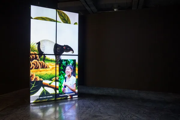02_許家維，《黑與白－馬來貘》，四頻道錄像裝置，6’55”，2018 （©臺北市立美術館）.jpg