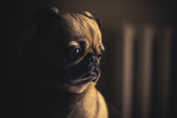  同事是真的受委屈，還是在推卸責任？6 招識破職場「受害者敘事」手法