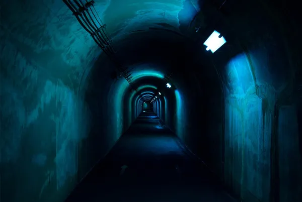 MAD_光之隧道_越後妻有
