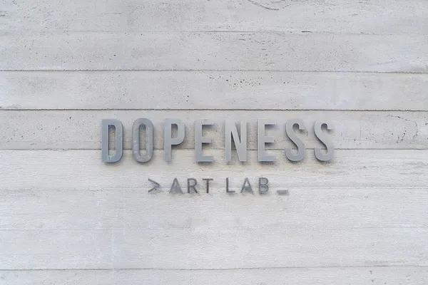 Dopeness Art Lab_SD1-7.jpg