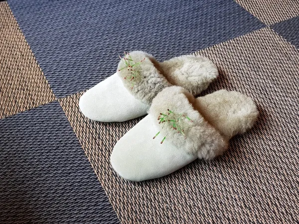 星野奧入瀨_143419.jpg