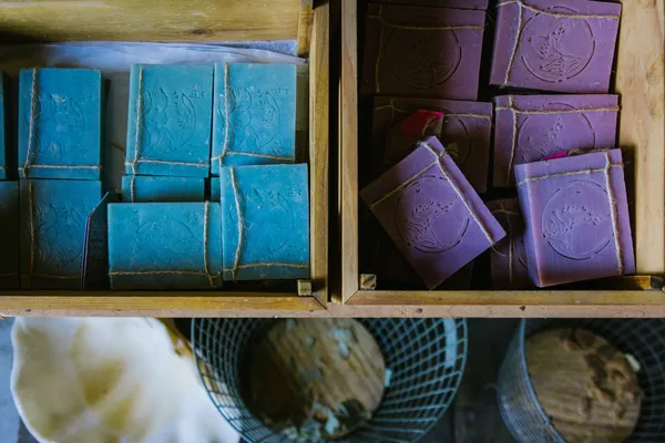 足渡蘭_DSC7544.jpg