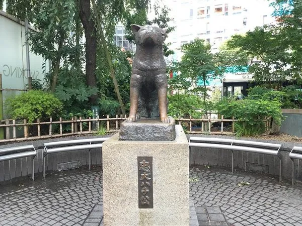 澀谷酒