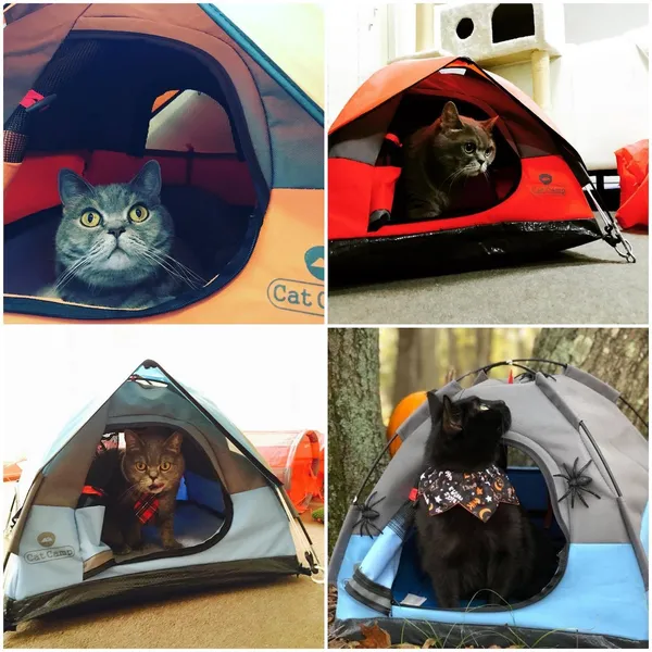 cat camp_貓咪帳篷_05.jpg