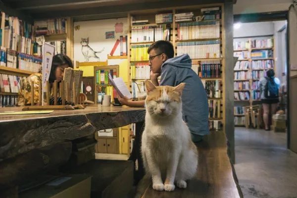 晃晃二手書店_DSC8716.jpg