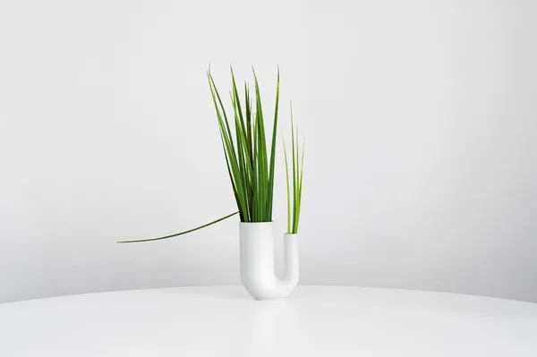 瓷器花器_ha.jpg