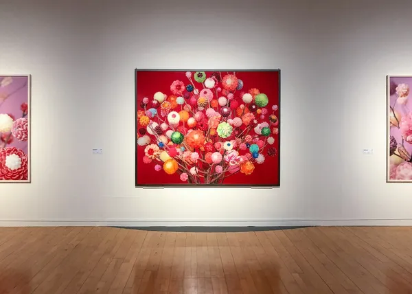 釜山市立美術館年度大展_植物學_2.jpg