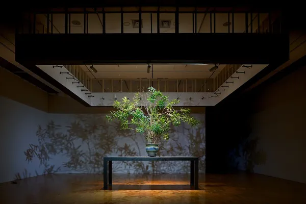 釜山市立美術館年度大展_植物學_6.jpg