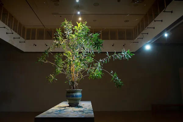 釜山市立美術館年度大展_植物學_7.jpg