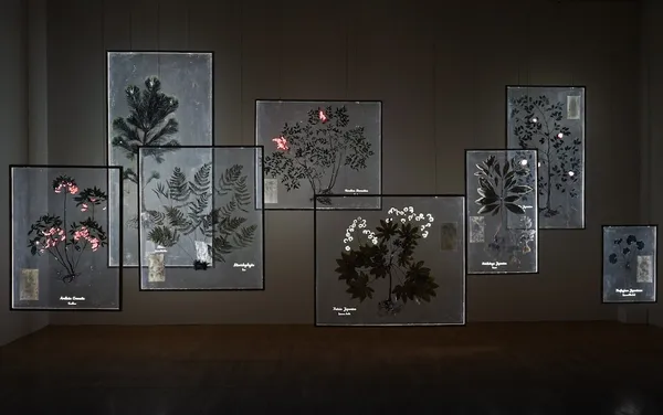 釜山市立美術館年度大展_植物學_8.jpg