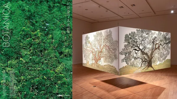 與自然的相生相守之道：釜山市立美術館年度大展《植物學》