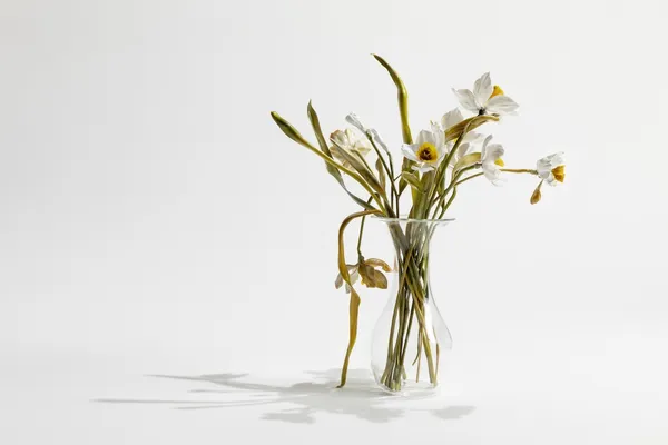 玻璃工藝-花-Vanitas 2.jpg
