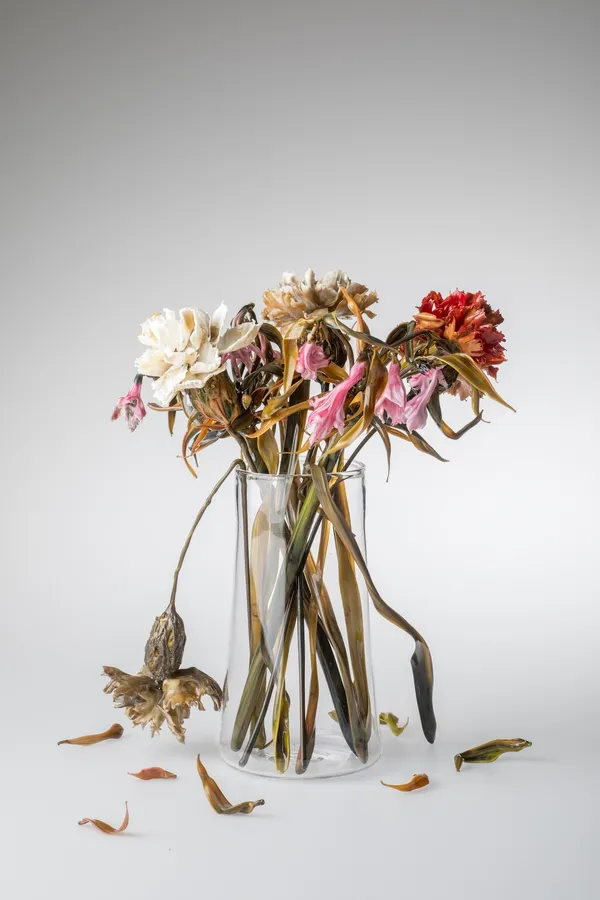 玻璃工藝-花-Vanitas 3.jpeg
