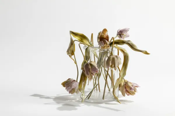 玻璃工藝-花-Vanitas 6.jpg