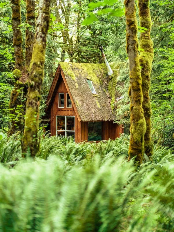 Jacob Witzling-森林小屋.jpg