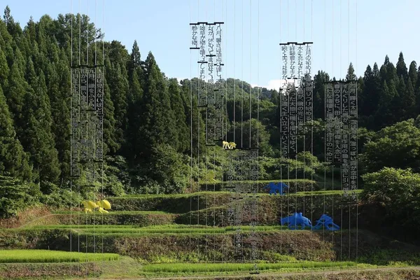 Fuji Rock-越後妻有完全攻略回顧02.jpg