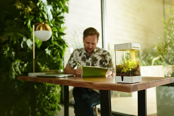 OrchidBox (4)