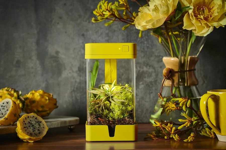 種花草又怕麻煩？智慧種植箱OrchidBox澆水光照都包辦