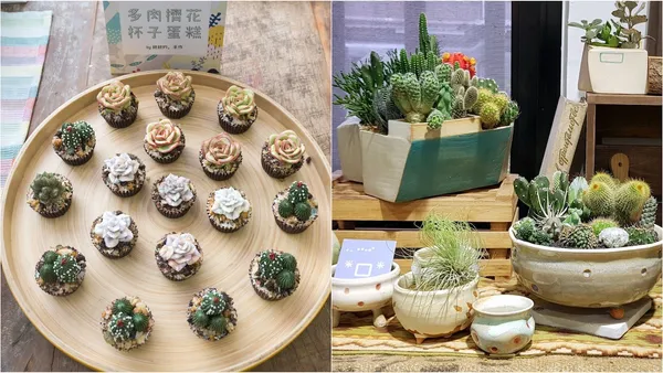 有肉3週年慶「遊肉園」：「多肉盆器設計師特展」台北巷弄療癒發表！