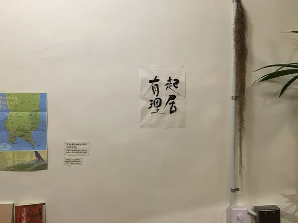 自在他方