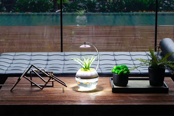 香草與魚