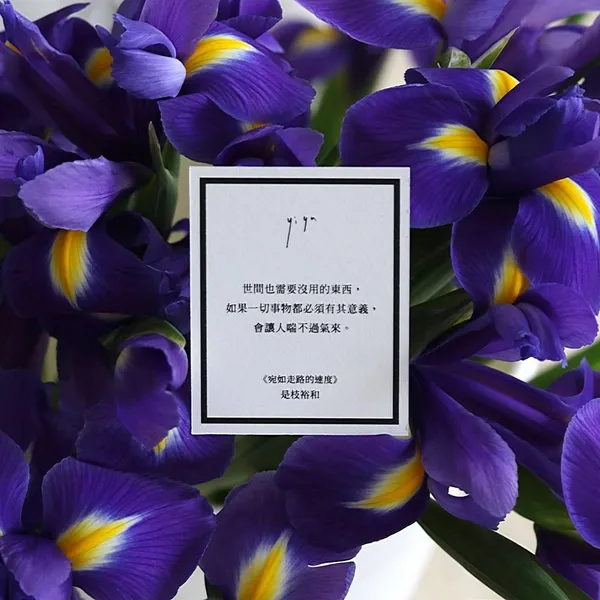 金句小卡_是枝裕和