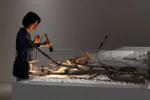 2018台北雙年展_06_陳珠櫻 Chen Chu-Yin.jpg