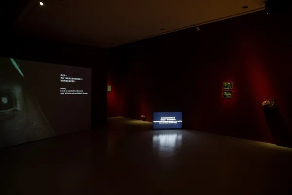 2018台北雙年展_21_區秀詒 AU Sow-Yee.jpg