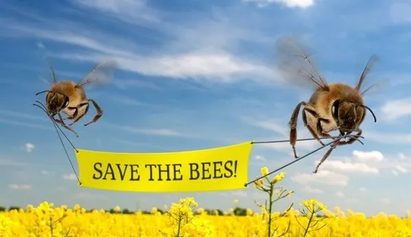 savebees.jpg