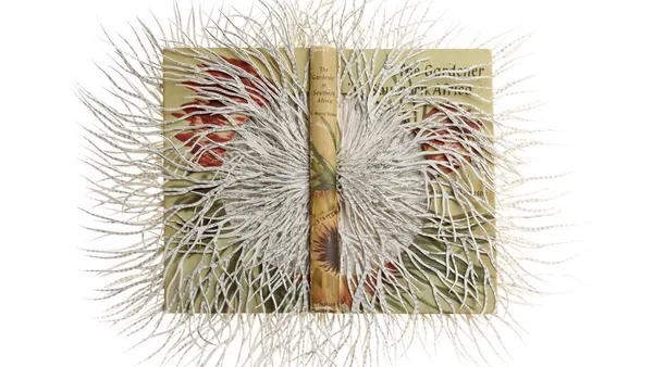 用古書做雕刻！撕裂、雕刻、碎形，南非藝術家如生物形態般的書籍改編創作