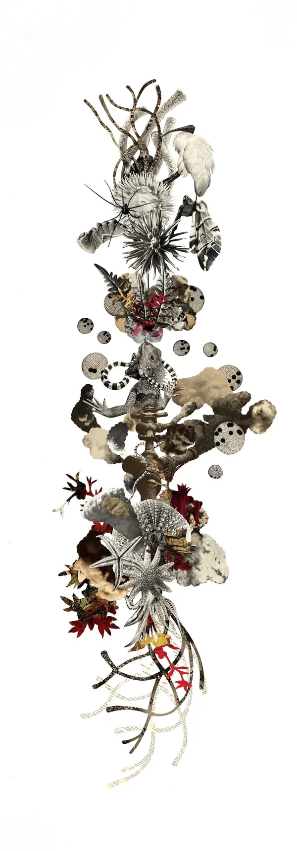 Barbara Wildenboer-古書雕刻拼貼.jpg