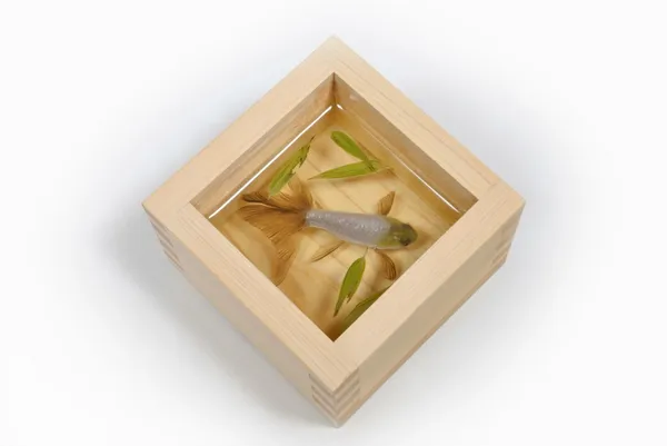 深堀隆介-袋裝金魚.jpg