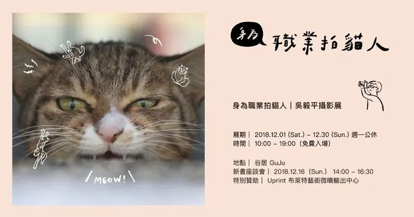 身為職業拍貓人.jpeg