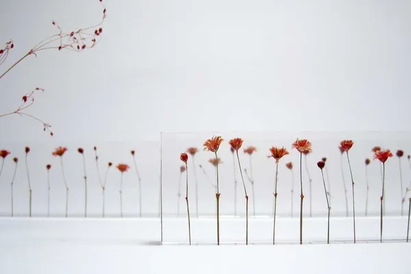 -studionote提供flowers5.jpg