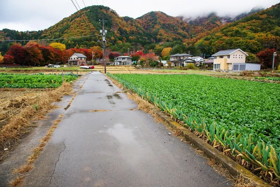【專訪】讓地方創生，日本前總務大臣：民泊法不只要推觀光，更是解決國家危機