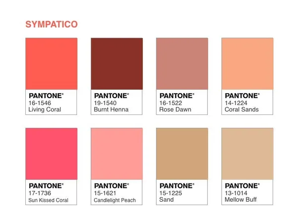 Pantone2019年度代表色-活珊瑚-SYMPATICO 1.jpg