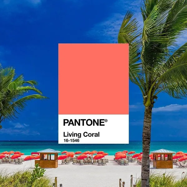 Pantone2019年度代表色-活珊瑚-04.jpg