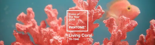 Pantone2019年度代表色-活珊瑚-02.jpg