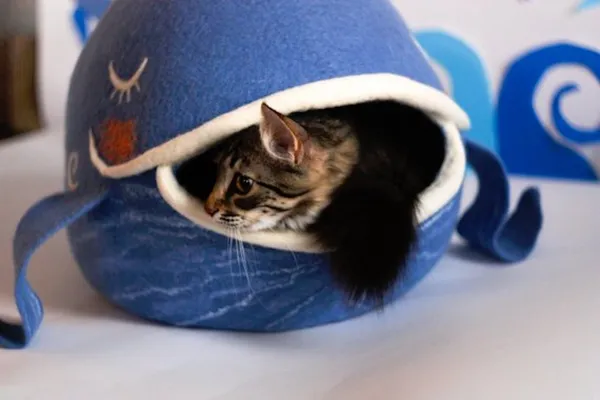 MeowFelt14.jpg